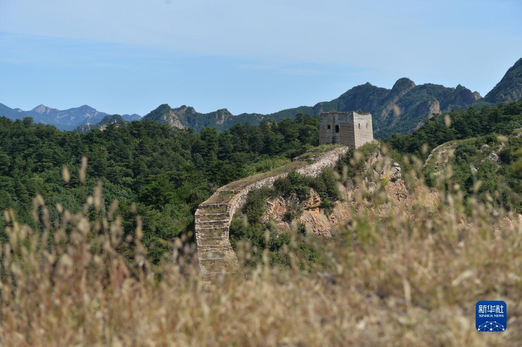 188.博金宝